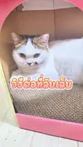 Chill cat cafeคาเฟ่แมว-chillcatcafe