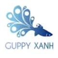 GuppyXanh-xanhguppy