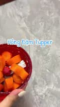 Hồng Đậm Tupperware-hong1m70