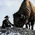 The Bison Rancher-haydenkittler