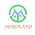 MOZOLAND-creativity_homelife