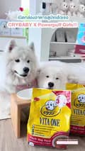 อูยูบิงซู&ทูยู ซามอยด์พาเที่ยว-thesamoyed.journey