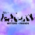 Mittens 🐈‍⬛ + Friends-rescuecatmittens