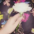 Beautiful Flower 🌸-beautifulflower3579