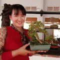 Thuỳ Dương bonsai-thuyduongbonsai