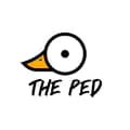 THE PED-thepedtiktok