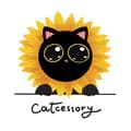 Catcessory-catcess.co