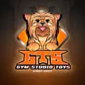 Gym Studio Toys-gymnotyim