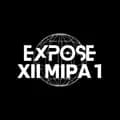 XII MIPA 1-expose.smania
