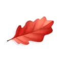 red.leafstore-red.leafstore