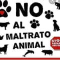 user3203549041579-team.noalmaltratoanimal0