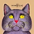 meowlife7_II-meowlife7_ii