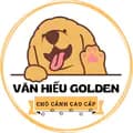 VănHiếu Golden - Trại Chó Cảnh-vanhieugolden