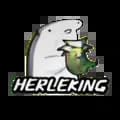 HERLEKING-herlekingg17