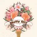 MollyDIY-molly.diy1