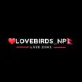 ♥️lovebirds_np🇳🇵-lovebirds_np