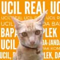 ucil.real-ucil.real