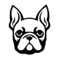 French Bulldog-frenchie_space