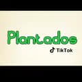 Diego-plantados_