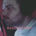 Brandon Hartshorn-bando_kuush