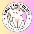 Cat Clips Daily-catclipzdaily
