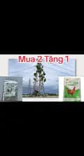 Đại Lý Thuốc Gà đá Pro-dailythuocgapro