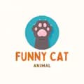 Funny Animal 😽😽-funnyanimalkbz