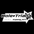 ᴡᴏʟᴇ•ᴛʀ★-woletriana