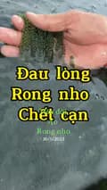 Rong Nho Hòn Khói-rongnho_honkhoi