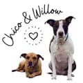 chicoandwillowsmom-chicoandwillowsmom