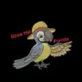 Straw Hat Parrots-strawhatparrots
