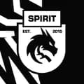 Team Spirit-teamspirit