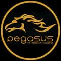 Pegasusกระเป๋าเดินทางแบรนด์ไทย-pegasus.luggage