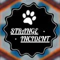 Strange Incident-strangeincidents