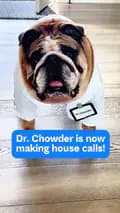 Chowder-chowderthebulldog