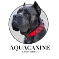 Jana Aquilina-aquacanine_