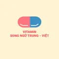 Vitamin song ngữ Trung Việt ✅-songngutrungviet