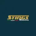 STINGS MOTOCLEAN-stings.id