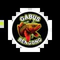 Gabusbengong Indonesia-gabusbengong