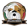 Bulldog Mexico-bulldogmexico