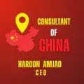 Consultant of CHINA-consultantofchina