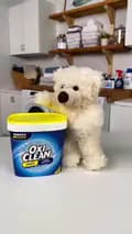 OxiClean-oxicleanofficial