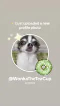 WonkaTheTeaCup-wonkatheteacup