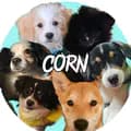 TheCornFurryFriends-cornfurryfriends