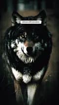 Lone wolf Motivation-lonewolfmotivation2