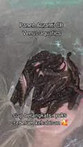 Venus Aquatics-venusaquatics.nkri