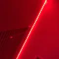 Red_lights 🅱️-redlightsgang16