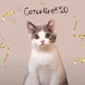 Catonline-catonline520